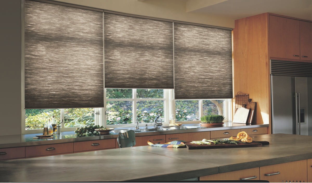 Duette® Honeycomb Shades near Venice, Florida (FL) Including best custom shades for homes  with PowerView Automation